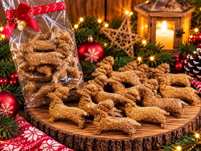 Kerst teckels-640x480 klein